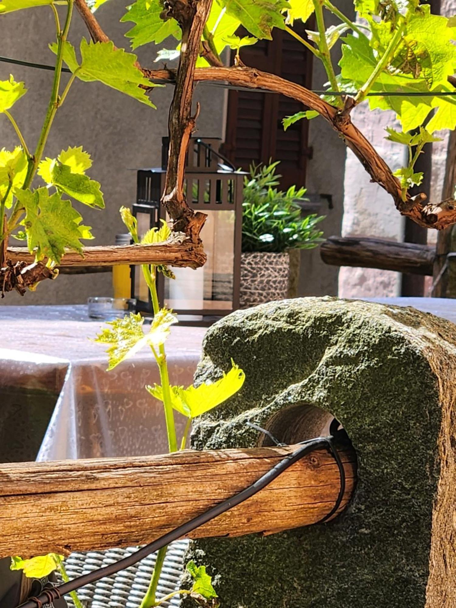 Someo B&B Osteria Morganti מראה חיצוני תמונה